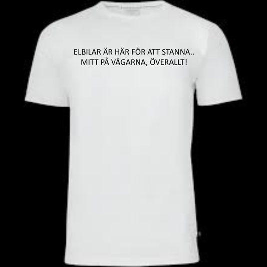 ELBILAR ÄR HÄR FÖR ATT STANNA..